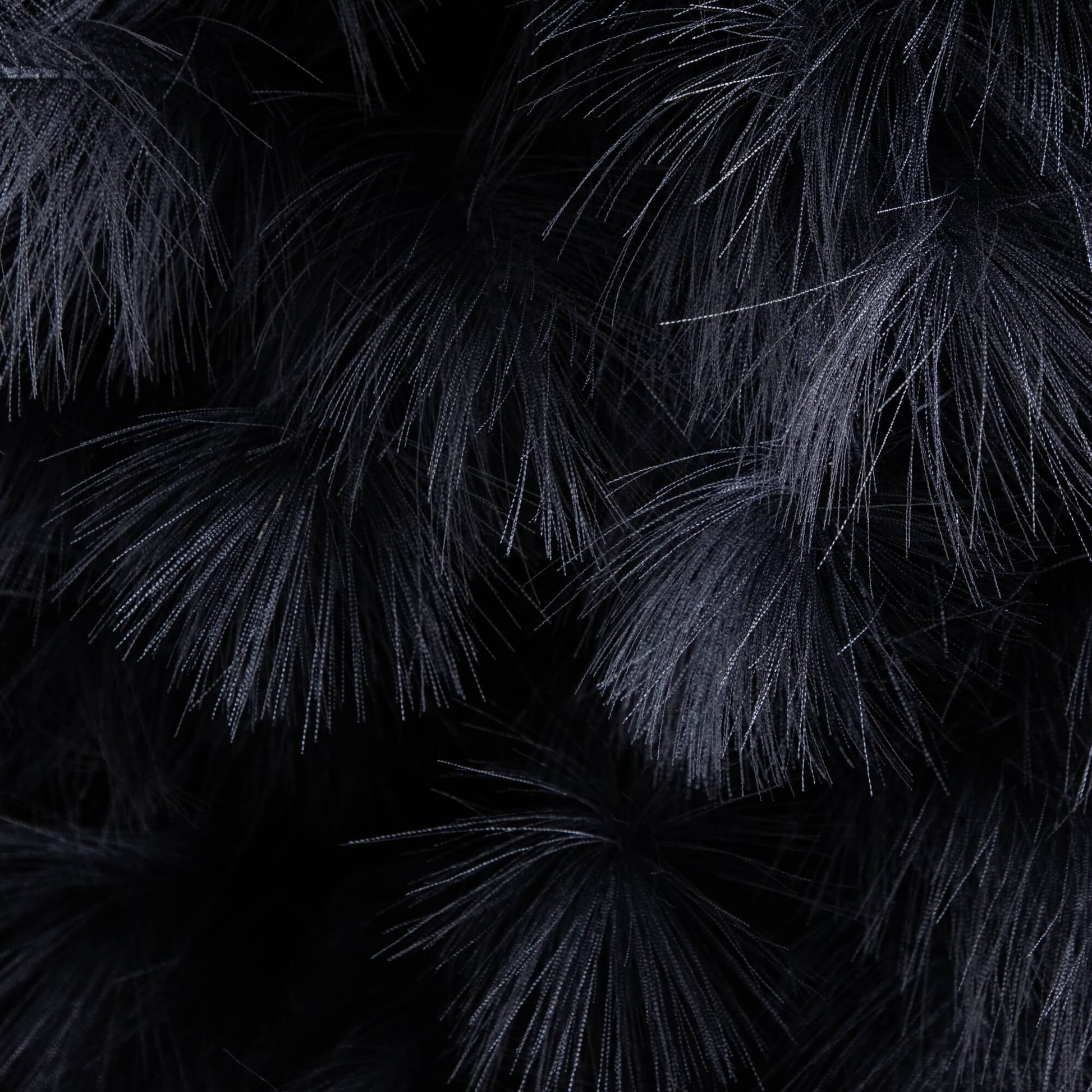 Tree Nearly Natural 6 ft artificial Halloween black pampas grass close-up bristles on Tampa Home & Garden Store