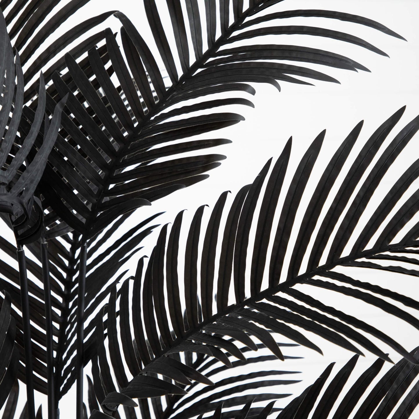 6' Artificial Halloween Black Paradise Palm Tree by Nearly Natural with black fronds on Tampa Home & Garden Store