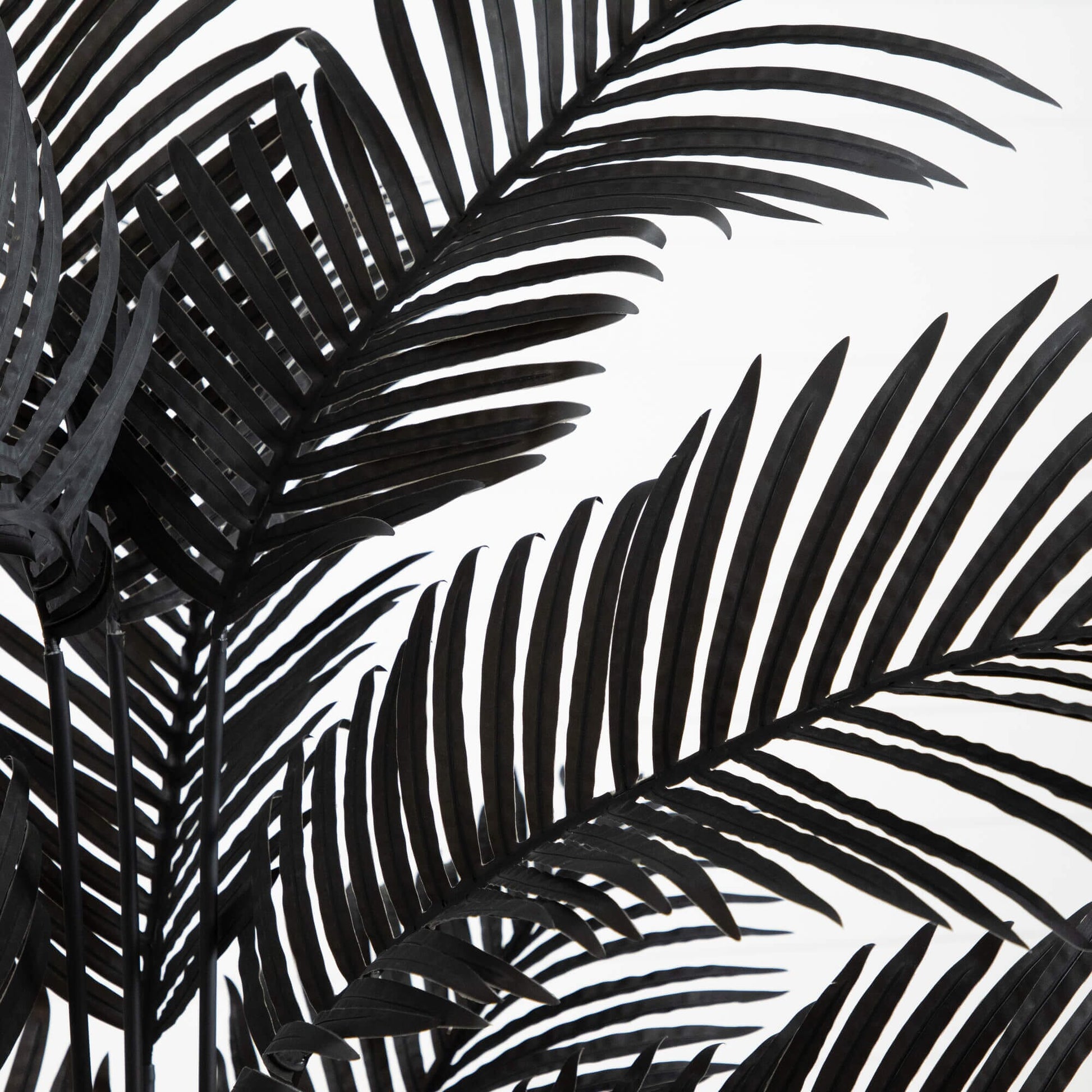 6' Artificial Halloween Black Paradise Palm Tree by Nearly Natural with black fronds on Tampa Home & Garden Store