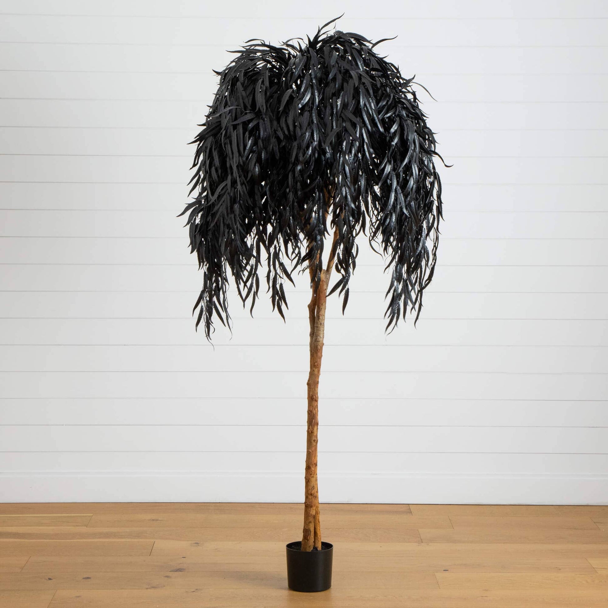 6 ft Nearly Natural black willow artificial tree with drooping dark leaves in a black planter on Tampa Home & Garden Store