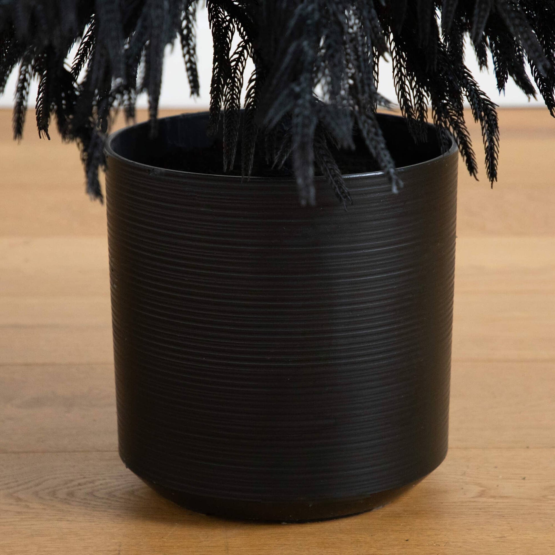 6' artificial Black Norfolk Pine tree by Nearly Natural in a round black planter on Tampa Home & Garden Store