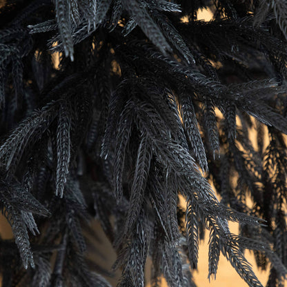 6 ft artificial Christmas tree Nearly Natural Black Norfolk Pine with real touch needles on Tampa Home & Garden Store