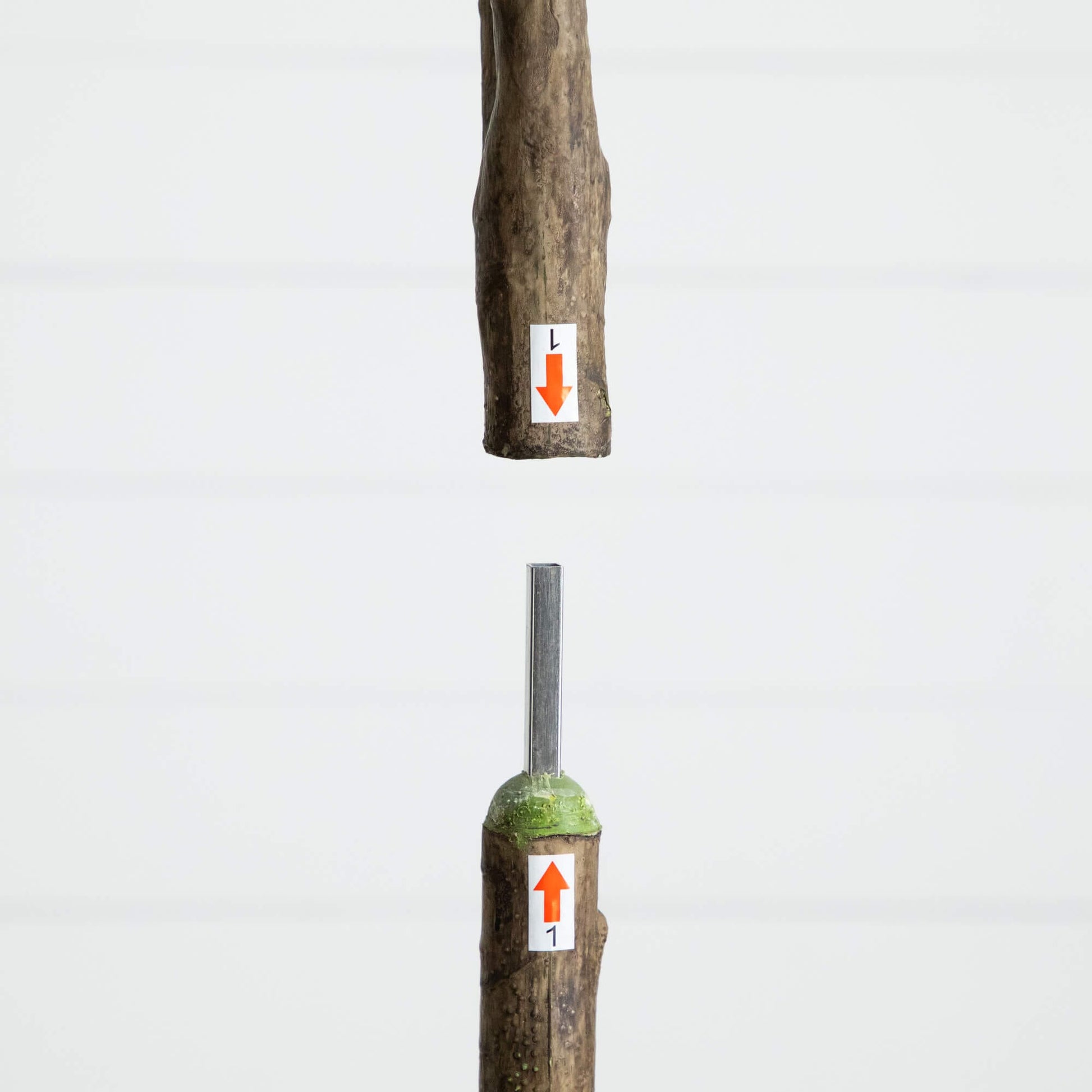 6' artificial maple tree by Nearly Natural with orange arrow labels on Tampa Home & Garden Store