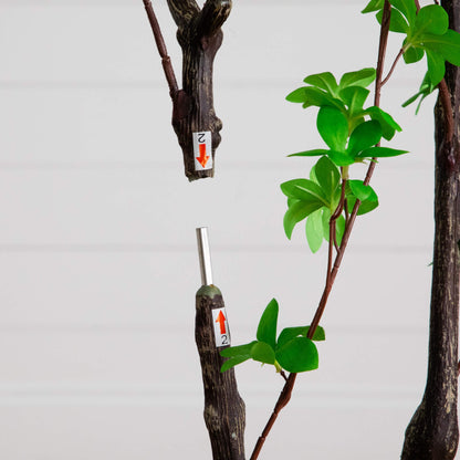 6 ft artificial Enkianthus tree by Nearly Natural with brown trunk and green leaves on Tampa Home & Garden Store