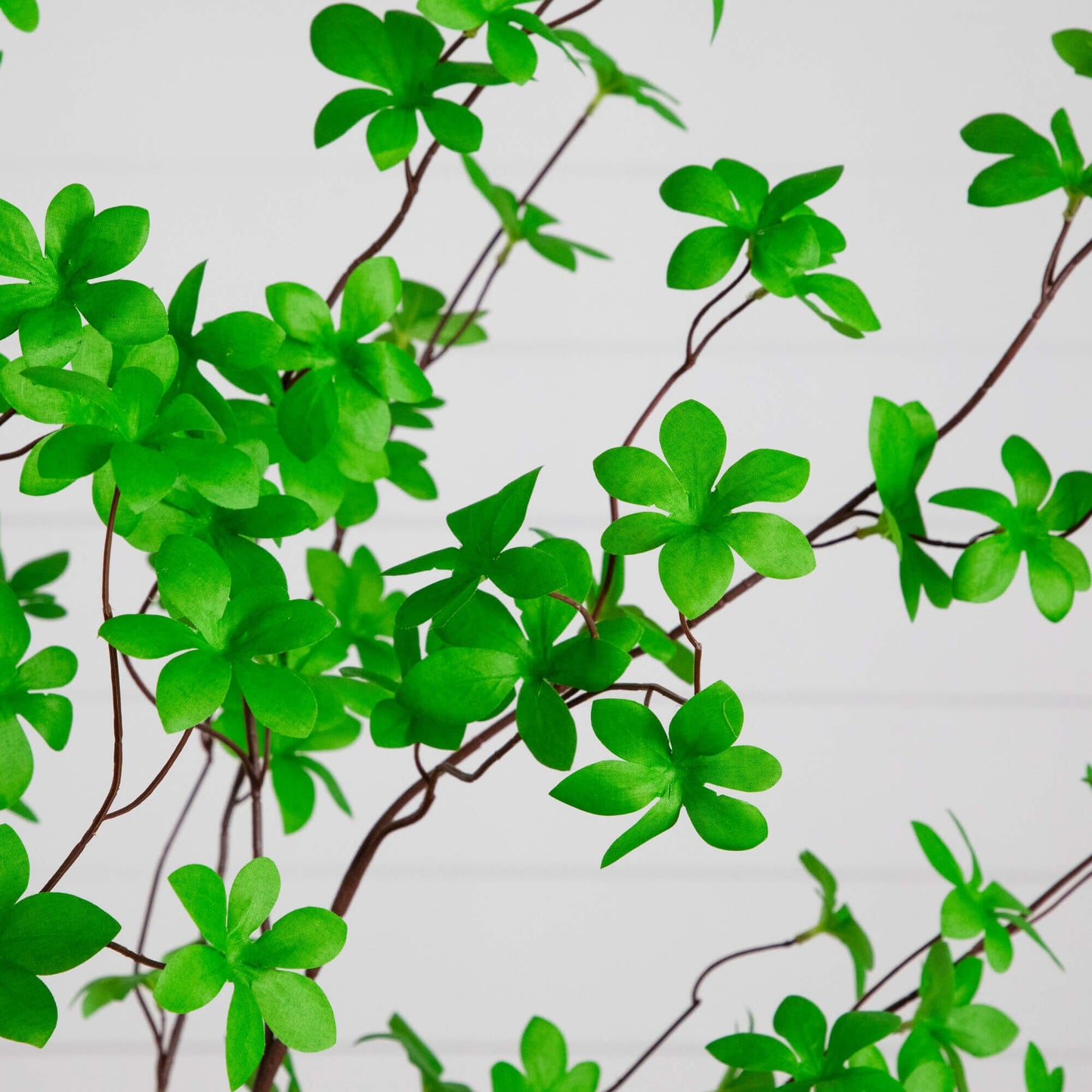 6-ft Artificial Minimalist Enkianthus Tree by Nearly Natural with green leaves on brown stems on Tampa Home & Garden Store