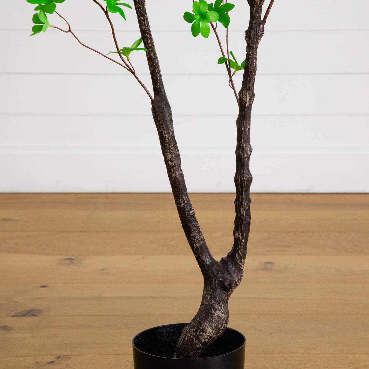 6-ft artificial minimalist Enkianthus tree by Nearly Natural with dark brown trunk in a black pot on Tampa Home & Garden Store