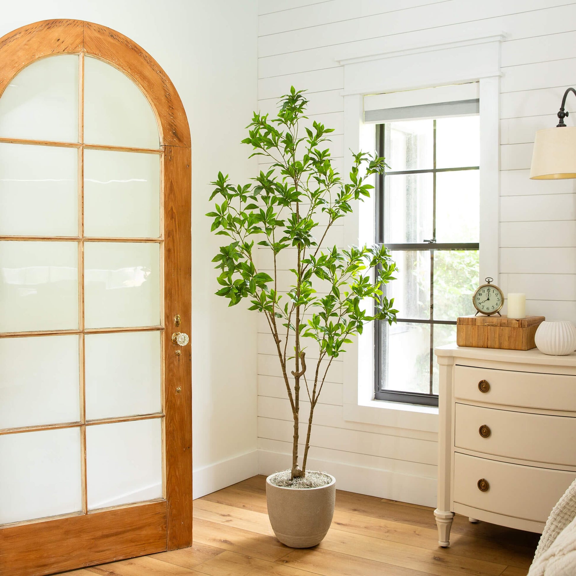 6' Artificial Minimalist Japanese Pieris Tree Nearly Natural with green leaves in a gray pot on Tampa Home & Garden Store