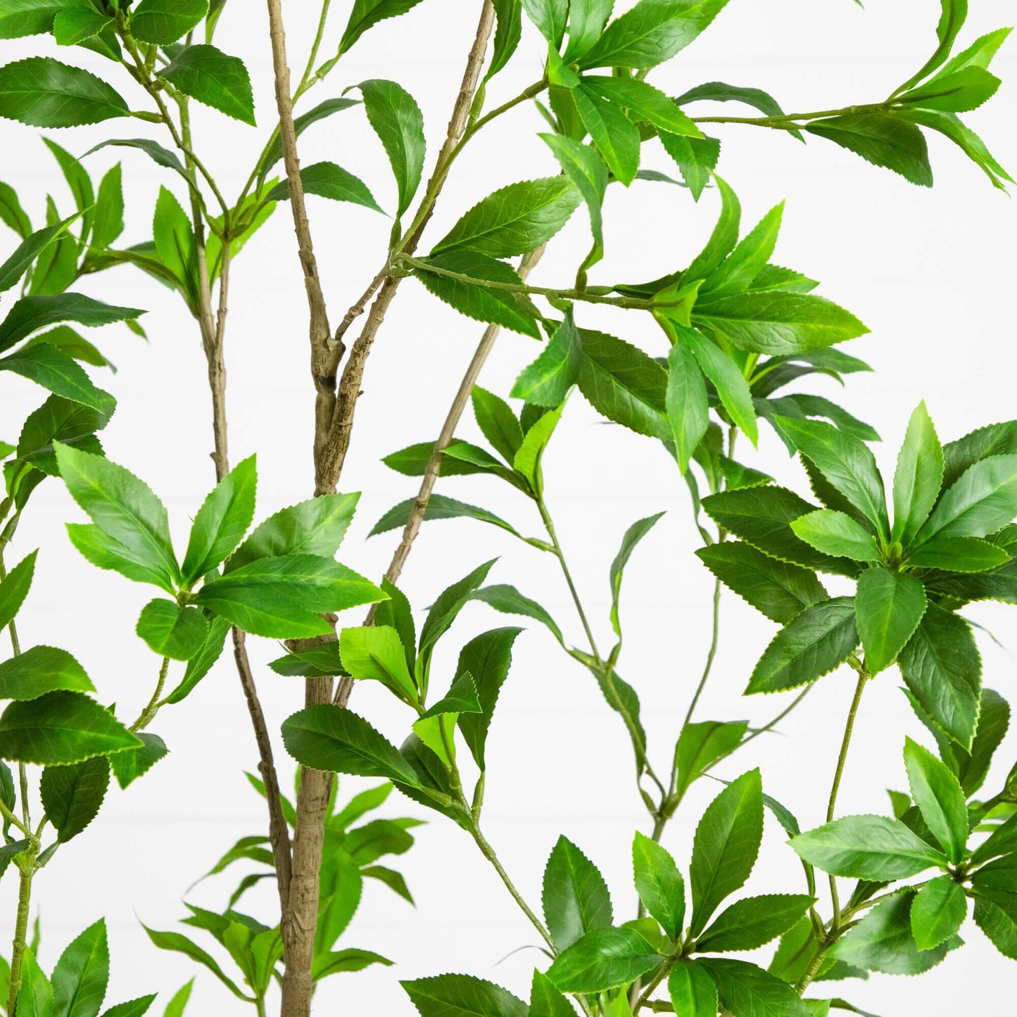 Nearly Natural 6' artificial minimalist Japanese Pieris tree with green leaves on Tampa Home & Garden Store