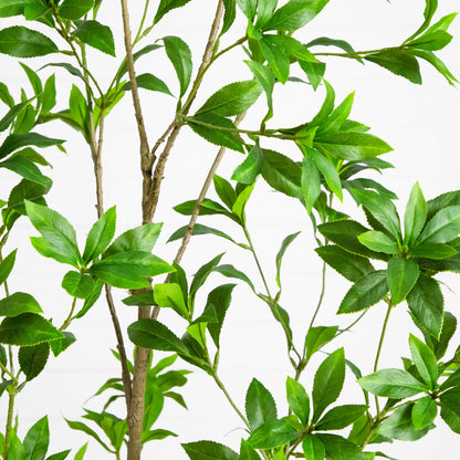 Nearly Natural 6' artificial minimalist Japanese Pieris tree with green leaves on Tampa Home & Garden Store