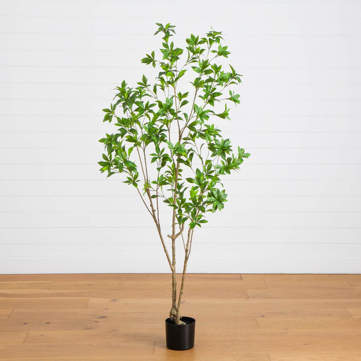 6' artificial minimalist Japanese Pieris tree in a black pot with vibrant green leaves on Tampa Home & Garden Store