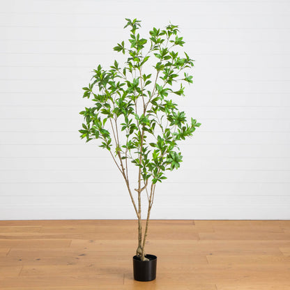 6' artificial minimalist Japanese Pieris tree in a black pot with vibrant green leaves on Tampa Home & Garden Store