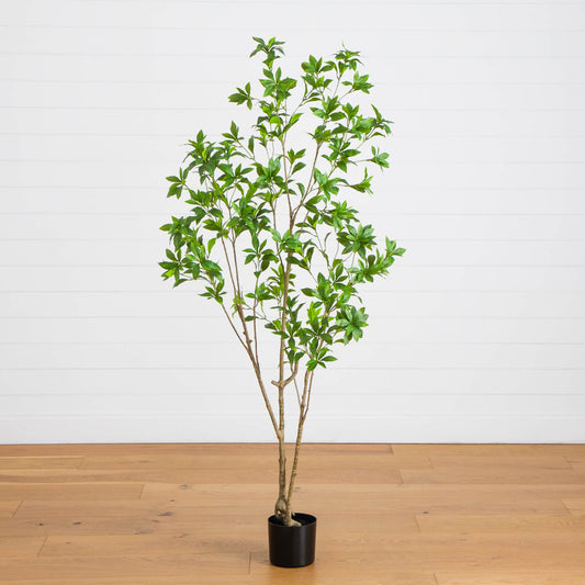 6' artificial minimalist Japanese Pieris tree in a black pot with vibrant green leaves on Tampa Home & Garden Store