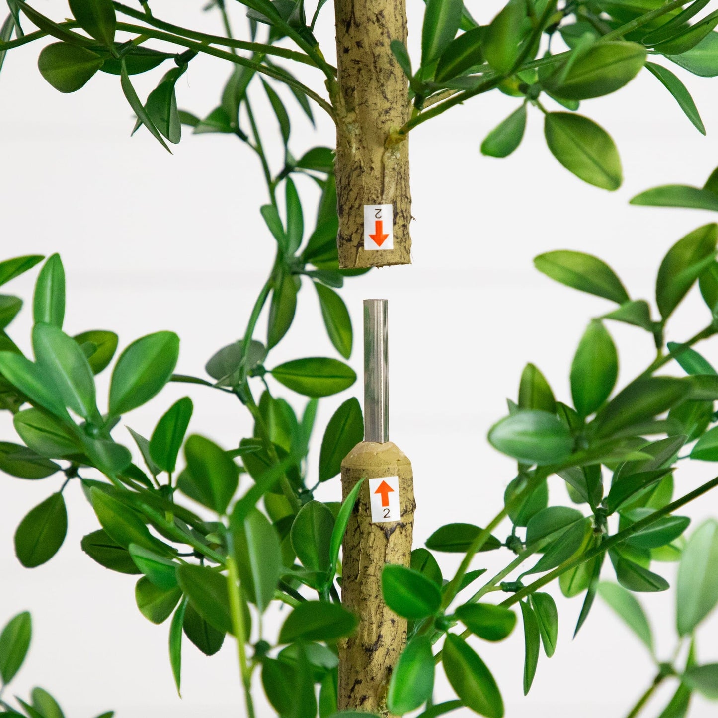 6' Shady Lady Black Olive Tree by Nearly Natural with green leaves and textured trunk on Tampa Home & Garden Store