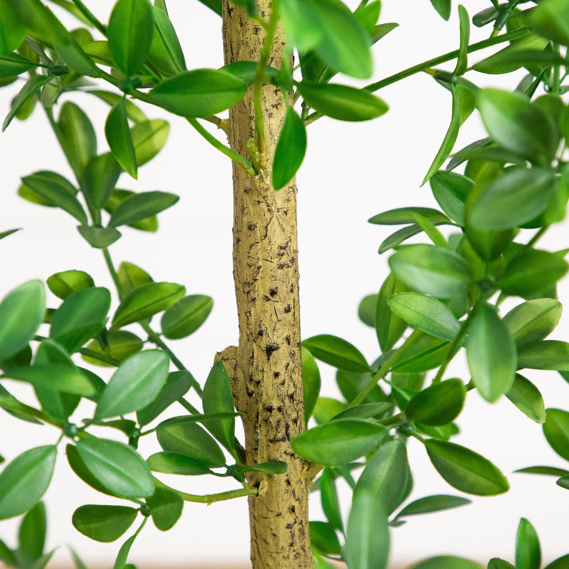 6' Artificial Shady Lady Black Olive Tree by Nearly Natural with lifelike green leaves on Tampa Home & Garden Store