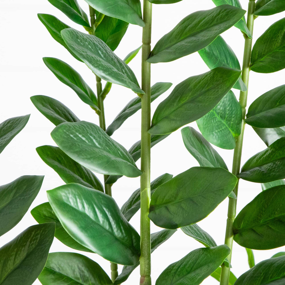 6' artificial Zamioculcas Plant with glossy green leaves on green stems on Tampa Home & Garden Store