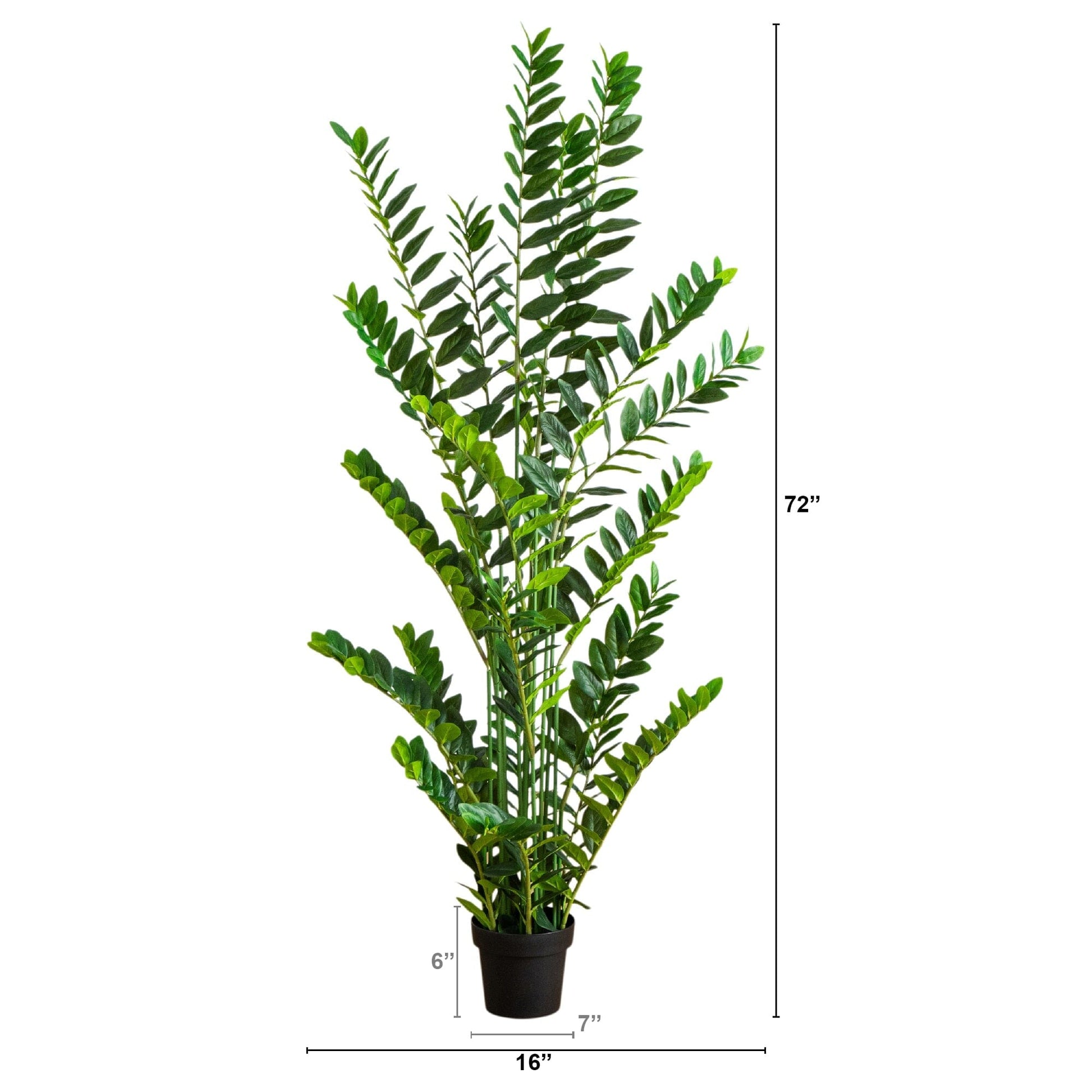6 ft artificial Zamioculcas plant by Nearly Natural in a black pot on Tampa Home & Garden Store
