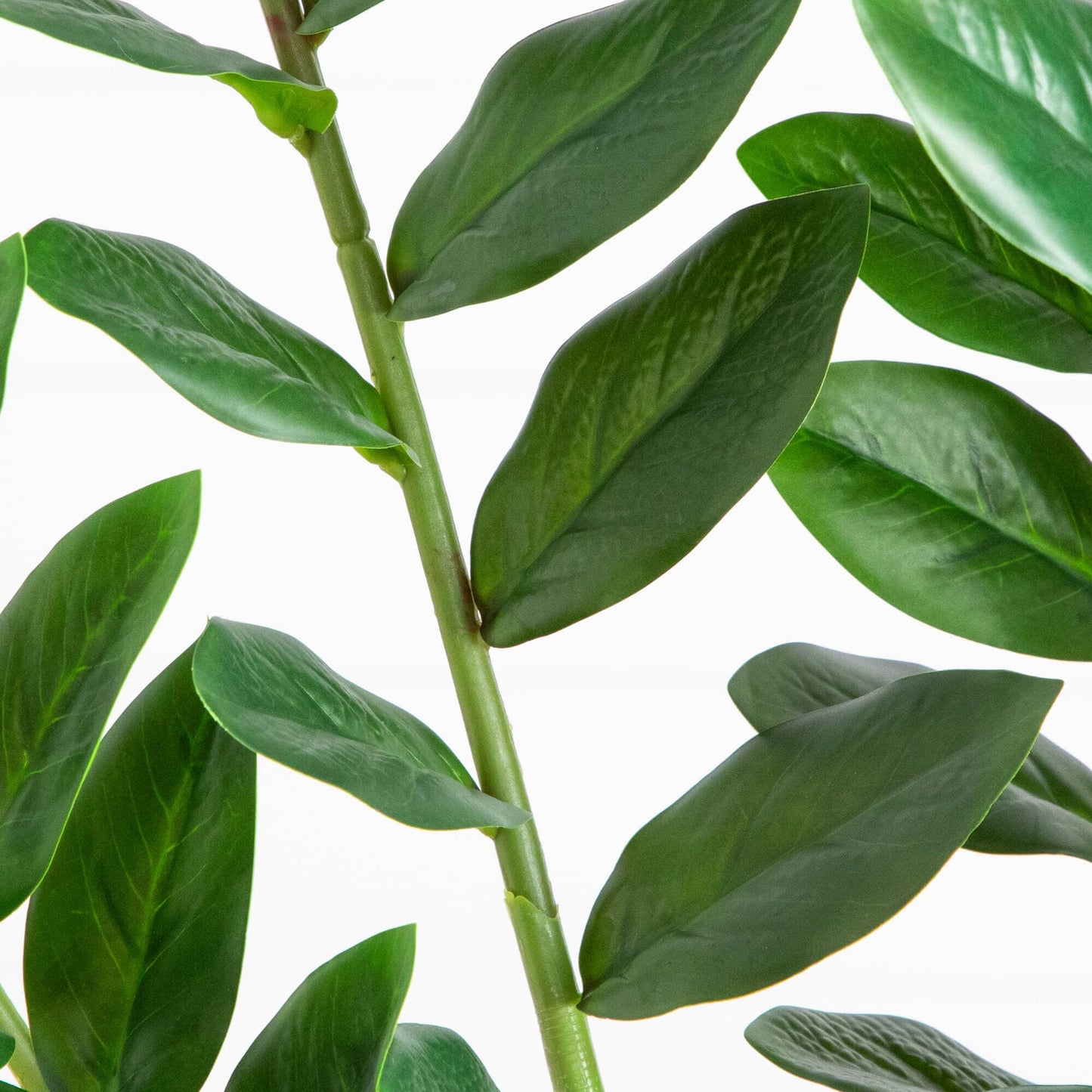 6' artificial Zamioculcas plant by Nearly Natural with glossy green leaves on Tampa Home & Garden Store
