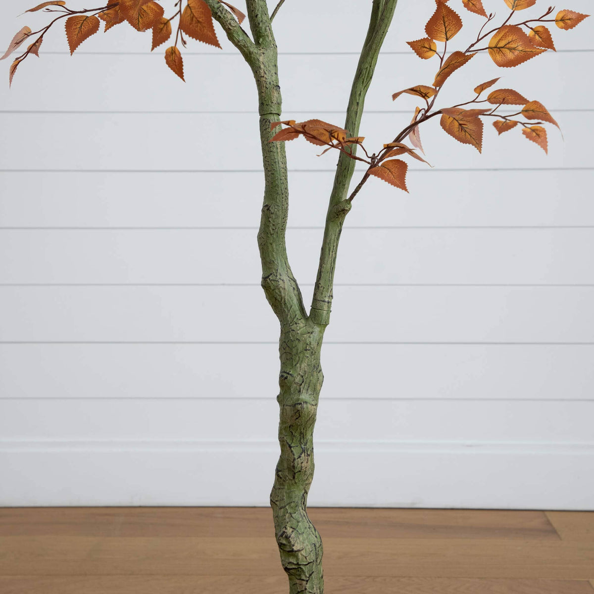 6' Autumn Birch Leaf Artificial Fall Tree Nearly Natural brown birch leaves on textured trunks on Tampa Home & Garden Store