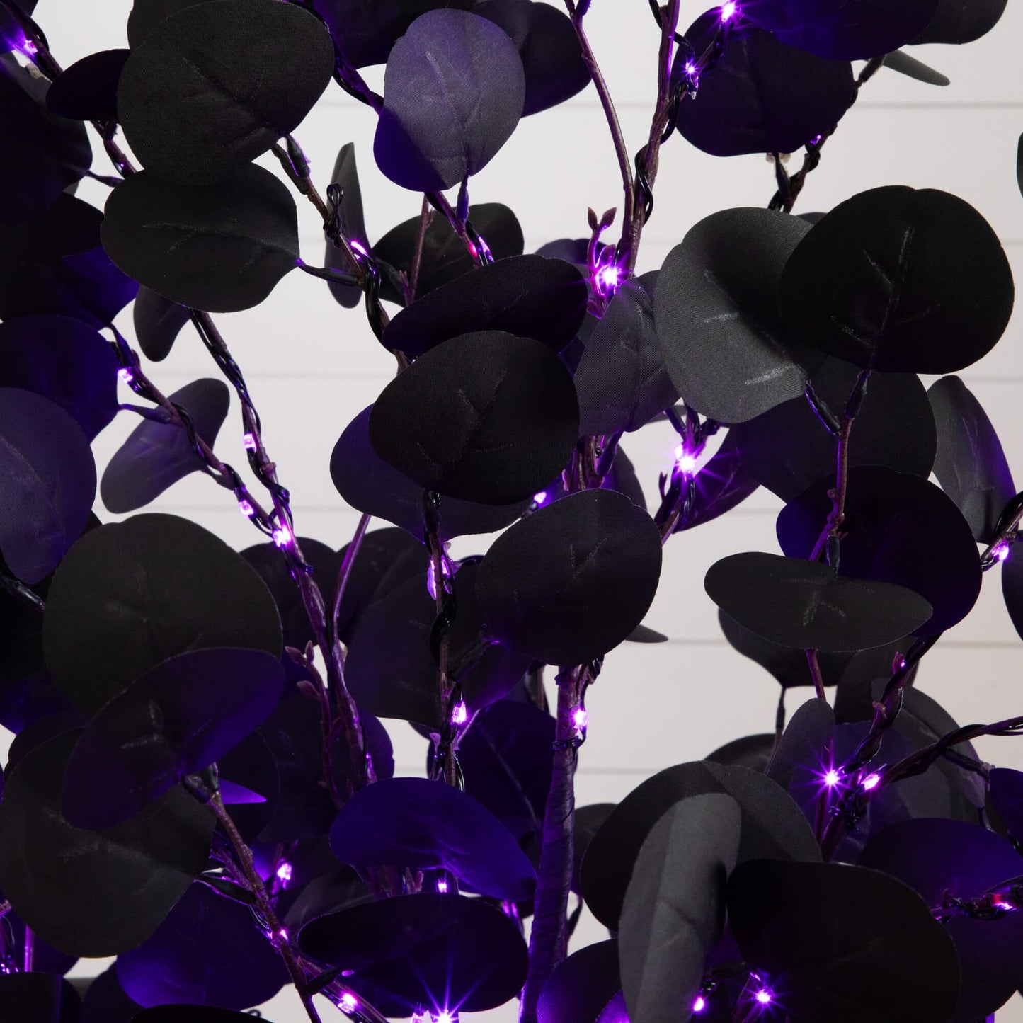 6' pre-lit artificial Halloween black eucalyptus tree with 300 orange and purple LEDs on Tampa Home & Garden Store