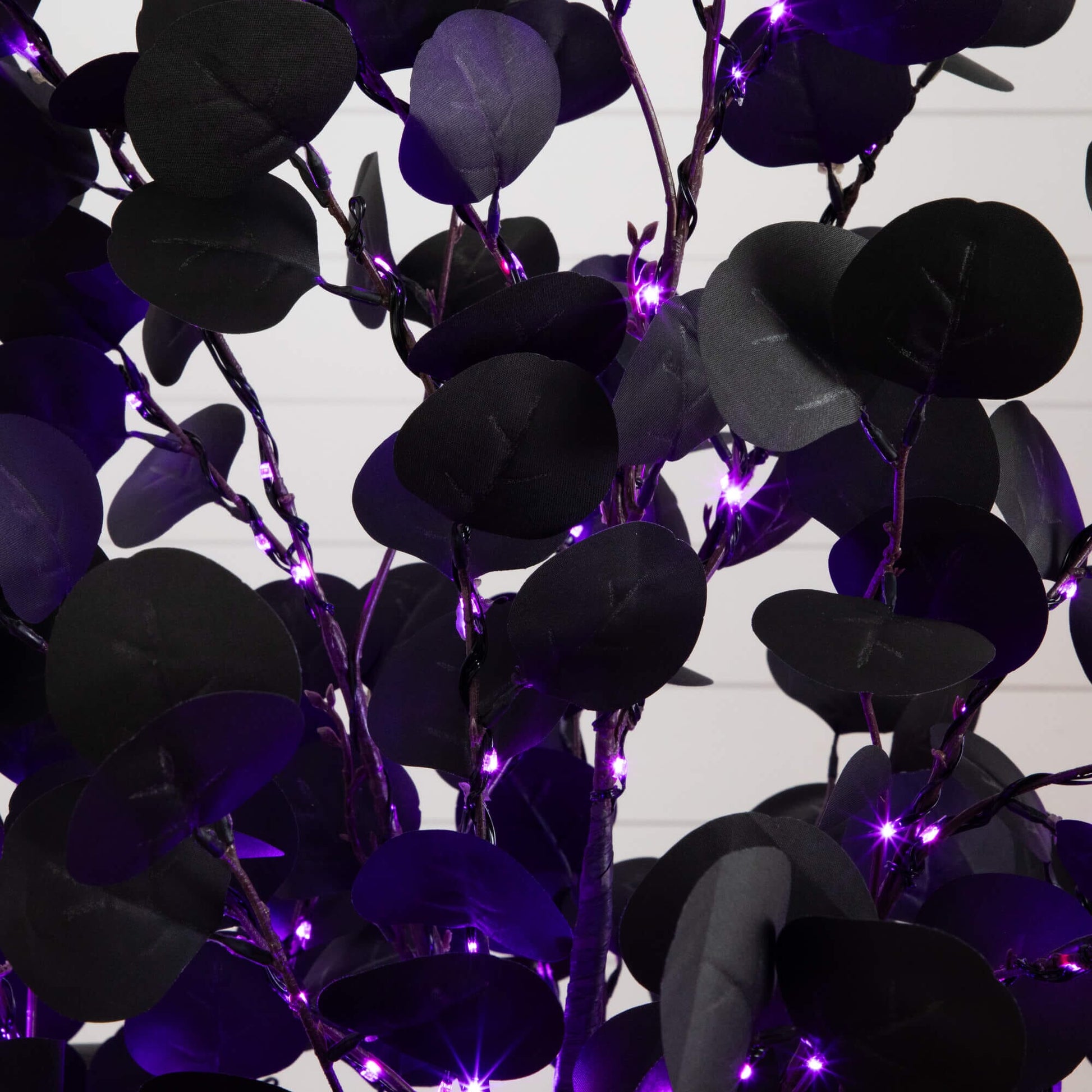 6' pre-lit artificial Halloween black eucalyptus tree with 300 orange and purple LEDs on Tampa Home & Garden Store