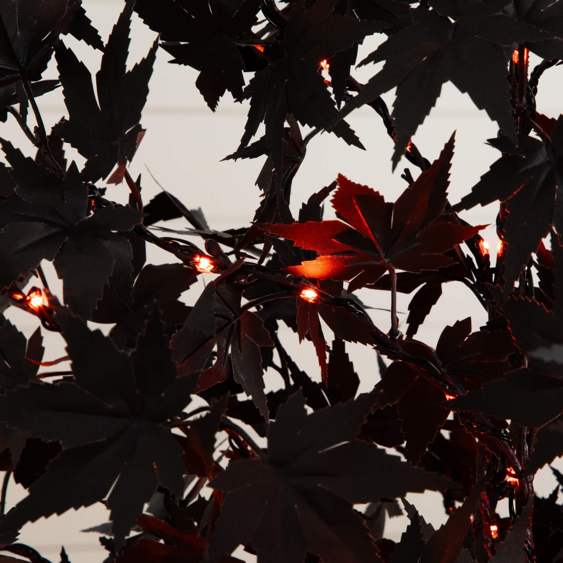 6' Pre-Lit Black Maple Tree with 300 orange and purple LEDs, Nearly Natural tree on Tampa Home & Garden Store