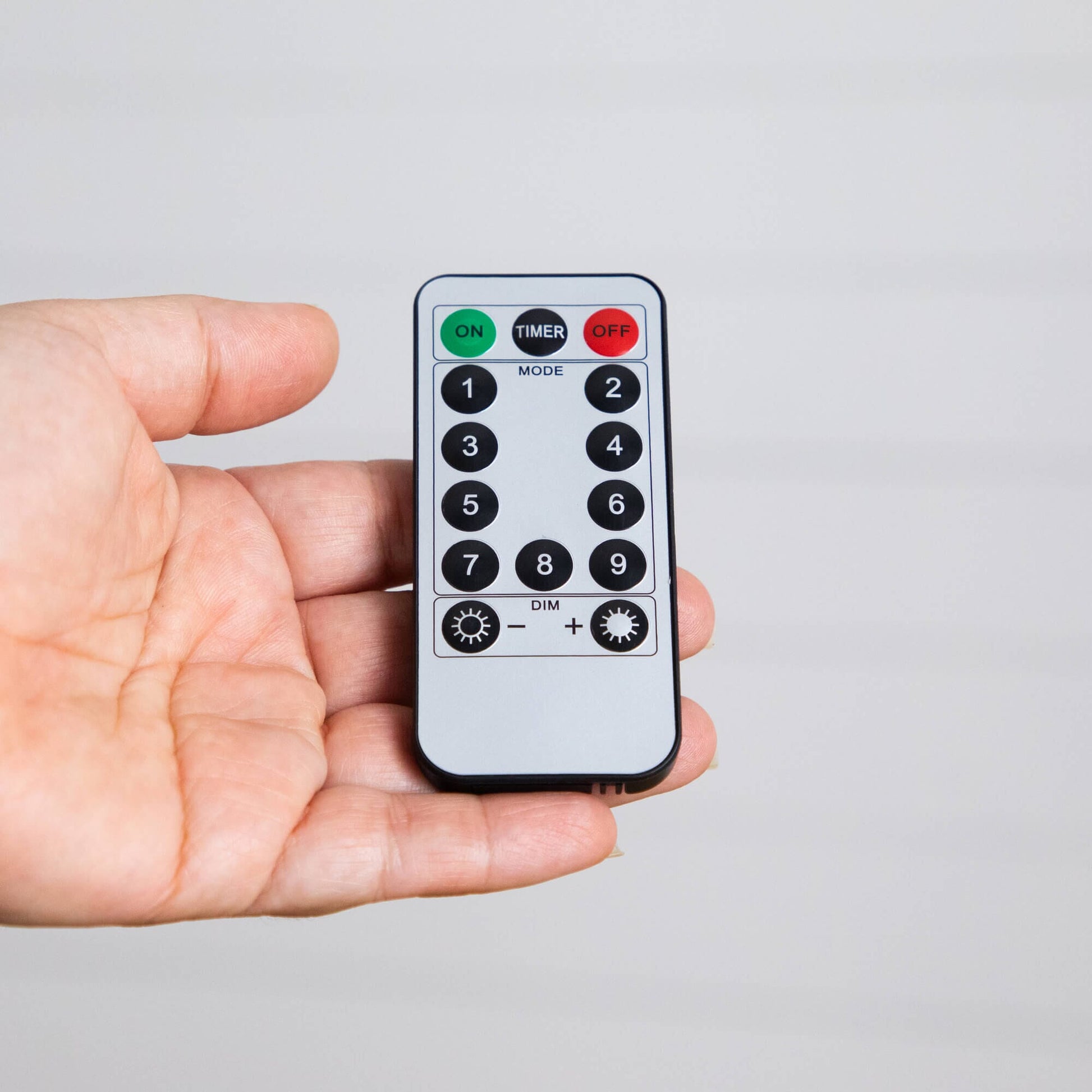 Remote control for 6' pre-lit Luxembourg Pine LED lights on Tampa Home & Garden Store