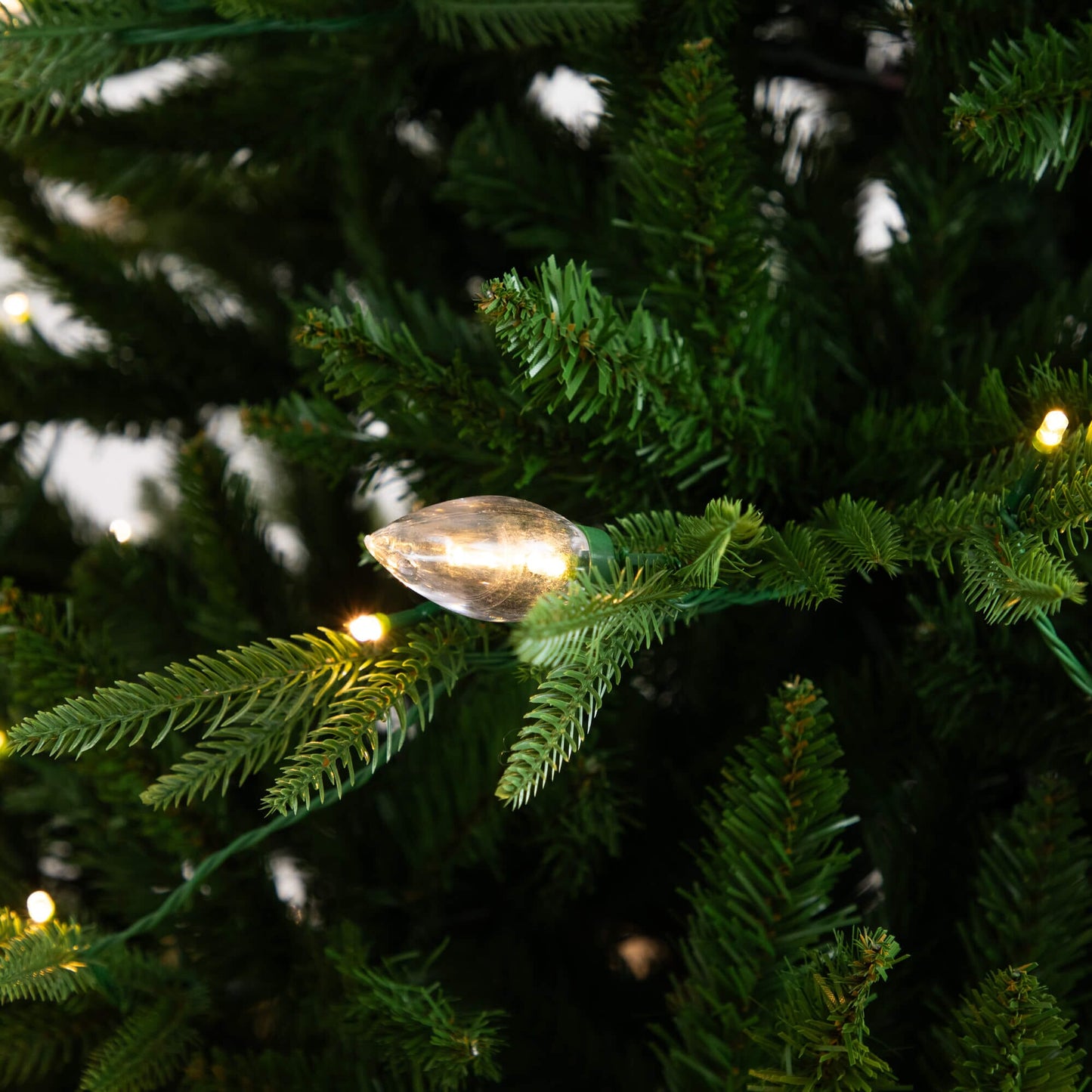 6' pre-lit artificial Luxembourg Pine Christmas Tree with 250 multicolored LED lights on Tampa Home & Garden Store