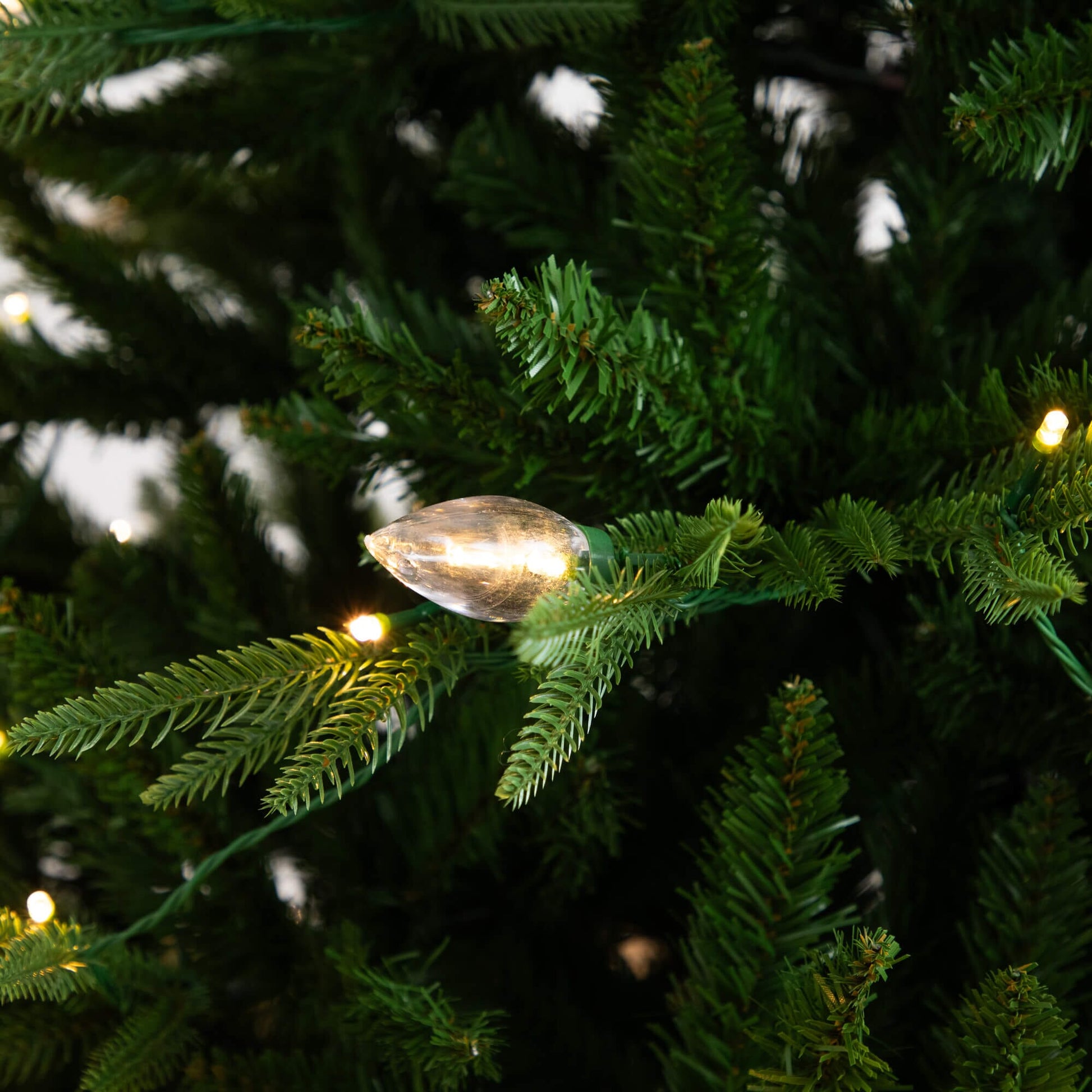 6' pre-lit artificial Luxembourg Pine Christmas Tree with 250 multicolored LED lights on Tampa Home & Garden Store