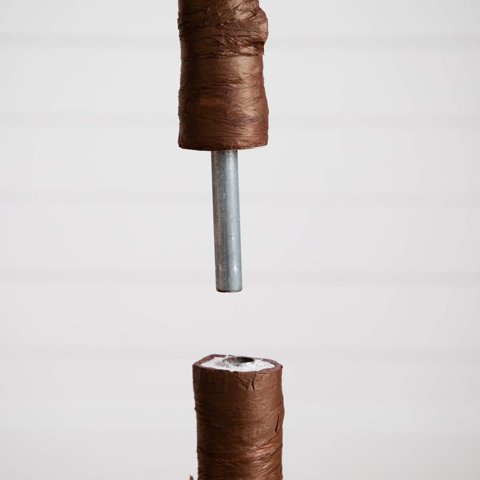 Tree wrapped in brown protective paper around a metal stake on Tampa Home & Garden Store