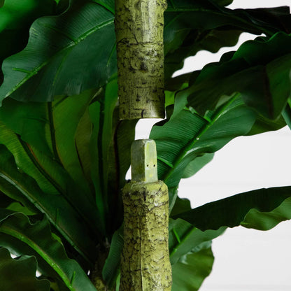 6' UV Resistant Artificial Bird Nest Fern Tree by Nearly Natural with lush green leaves and textured trunk on Tampa Home & Garden Store