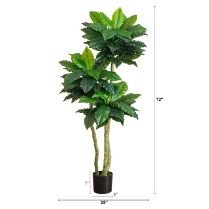Bird nest fern tree 6 ft, UV resistant artificial plant by Nearly Natural in black pot on Tampa Home & Garden Store