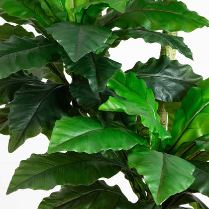 Bird Nest Fern Tree artificial UV resistant Nearly Natural lush green leaves on Tampa Home & Garden Store