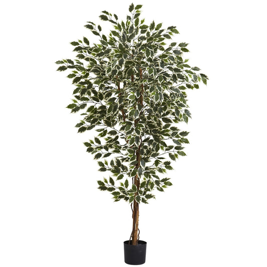 6' Hawaiian Ficus Tree by Nearly Natural with variegated green and cream leaves in a black pot on Tampa Home & Garden Store