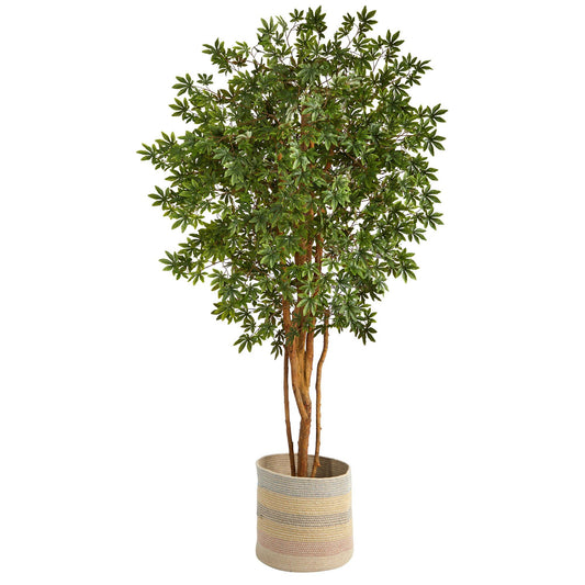 6’ Japanese Maple Artificial Tree in Handmade Natural Cotton Multicolored Woven Planter - Tampa Home & Garden Store