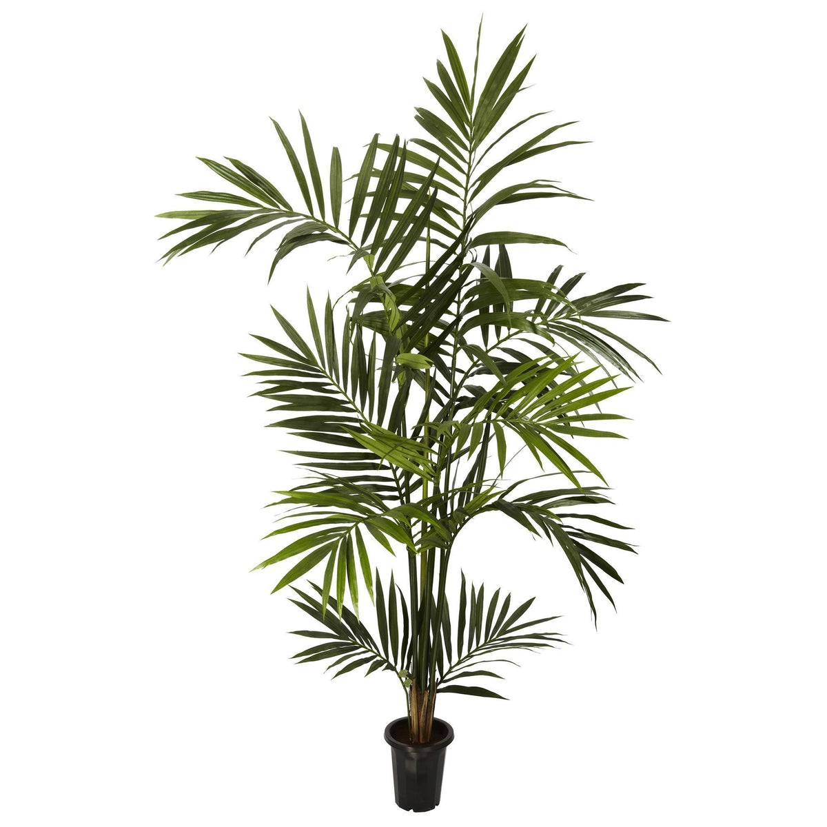 6' Kentia Palm Silk Tree by Nearly Natural, artificial palm with lush fronds in black planter on Tampa Home & Garden Store