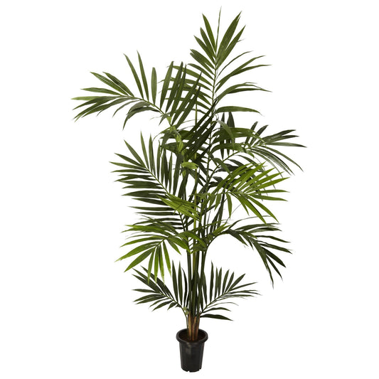 6' Kentia Palm Silk Tree by Nearly Natural, artificial palm with lush fronds in black planter on Tampa Home & Garden Store