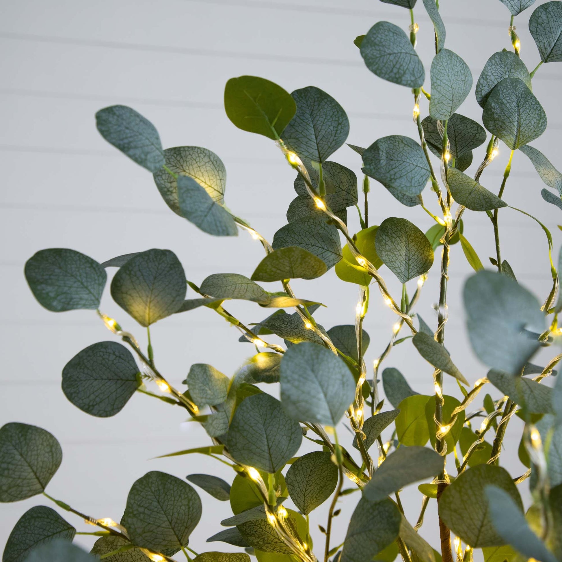 6 ft Lighted Artificial Eucalyptus Tree with 420 warm white LEDs green leaves on Tampa Home & Garden Store