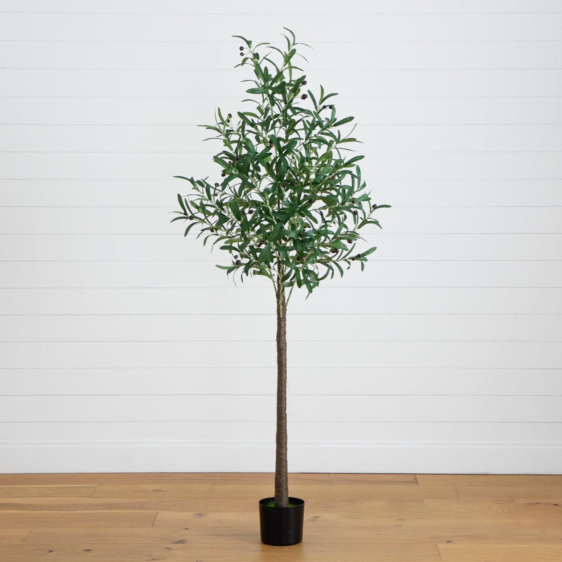 6 ft lighted artificial olive tree by Nearly Natural with 300 warm white LEDs in a black pot on Tampa Home & Garden Store
