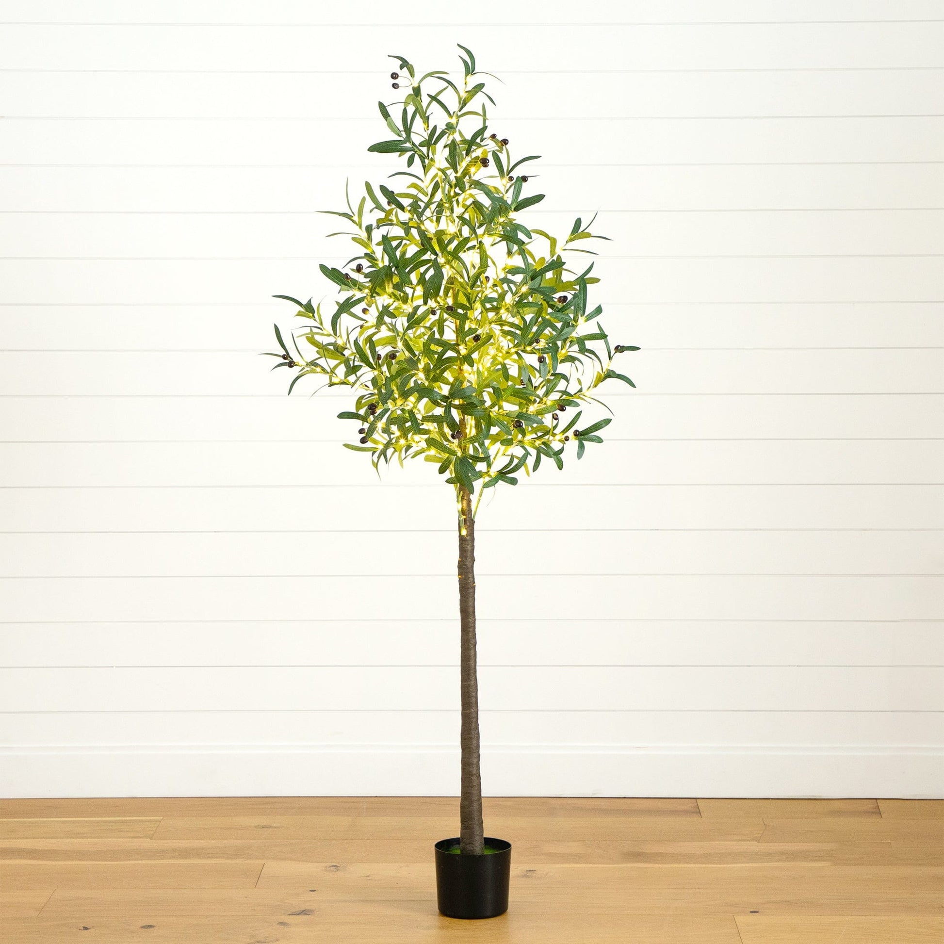 6’ Lighted Artificial Olive Tree by Nearly Natural with 300 warm white LEDs in a black pot on Tampa Home & Garden Store