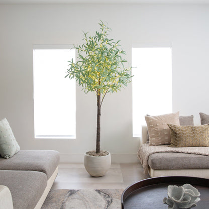 6 Foot Artificial Olive Tree and LED Lights