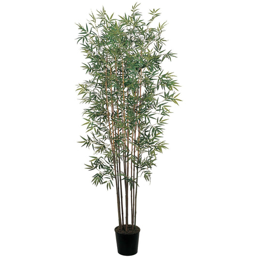 6' Mini Bamboo Silk Tree by Nearly Natural with brown trunks and green leaves in a black pot on Tampa Home & Garden Store