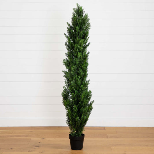 6' Mini Cedar Pine Tree (Indoor/Outdoor) - Tampa Home & Garden Store