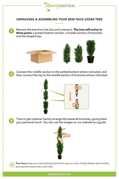 Mini sapin de cèdre de 6 pieds (intérieur/extérieur)