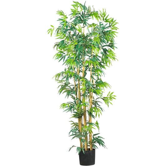 6' Multi Bambusa Bamboo Silk Tree - Tampa Home & Garden Store