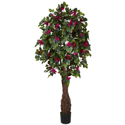 6' Multi Vine Bougainvillea Silk Tree green leaves magenta blooms braided trunk black pot on Tampa Home & Garden Store