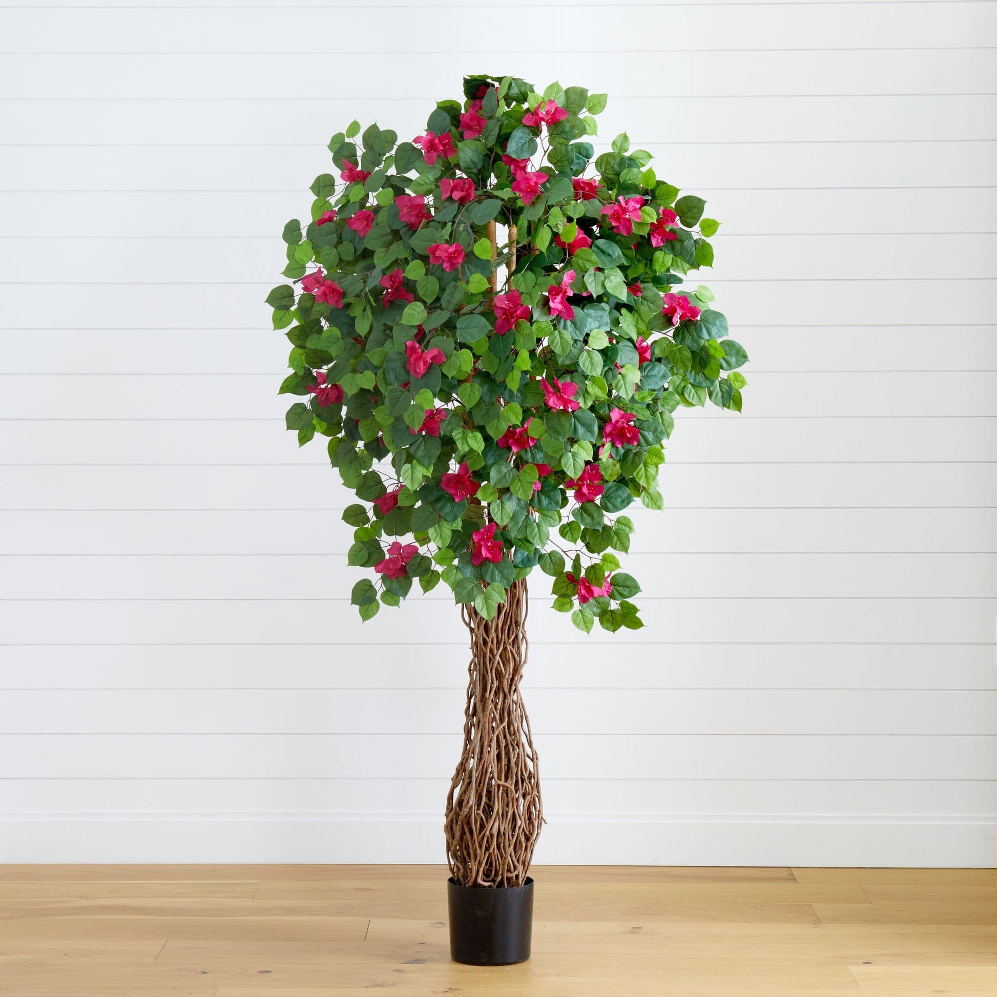 6' Multi Vine Bougainvillea Silk Tree with pink blooms, green leaves, braided trunk by Nearly Natural on Tampa Home & Garden Store