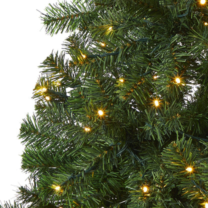 6' Northern Tip Pine artificial Christmas tree by Nearly Natural with 250 clear LED lights on Tampa Home & Garden Store