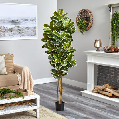 6’ Oak Artificial Tree variegated green leaves cream edges in black pot indoor/outdoor on Tampa Home & Garden Store