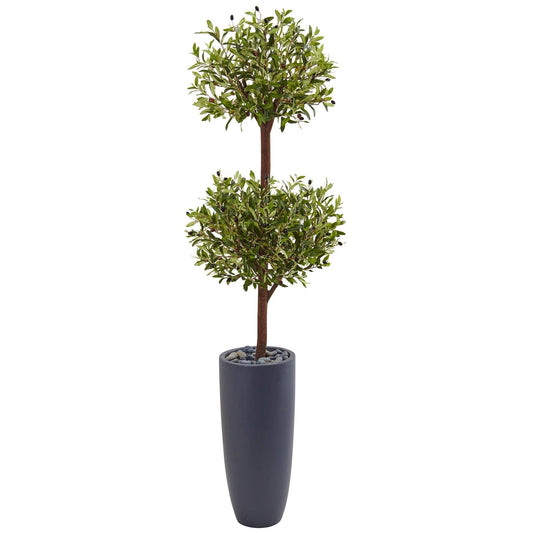 6’ Olive Double Tree in Gray Cylinder Planter - Tampa Home & Garden Store