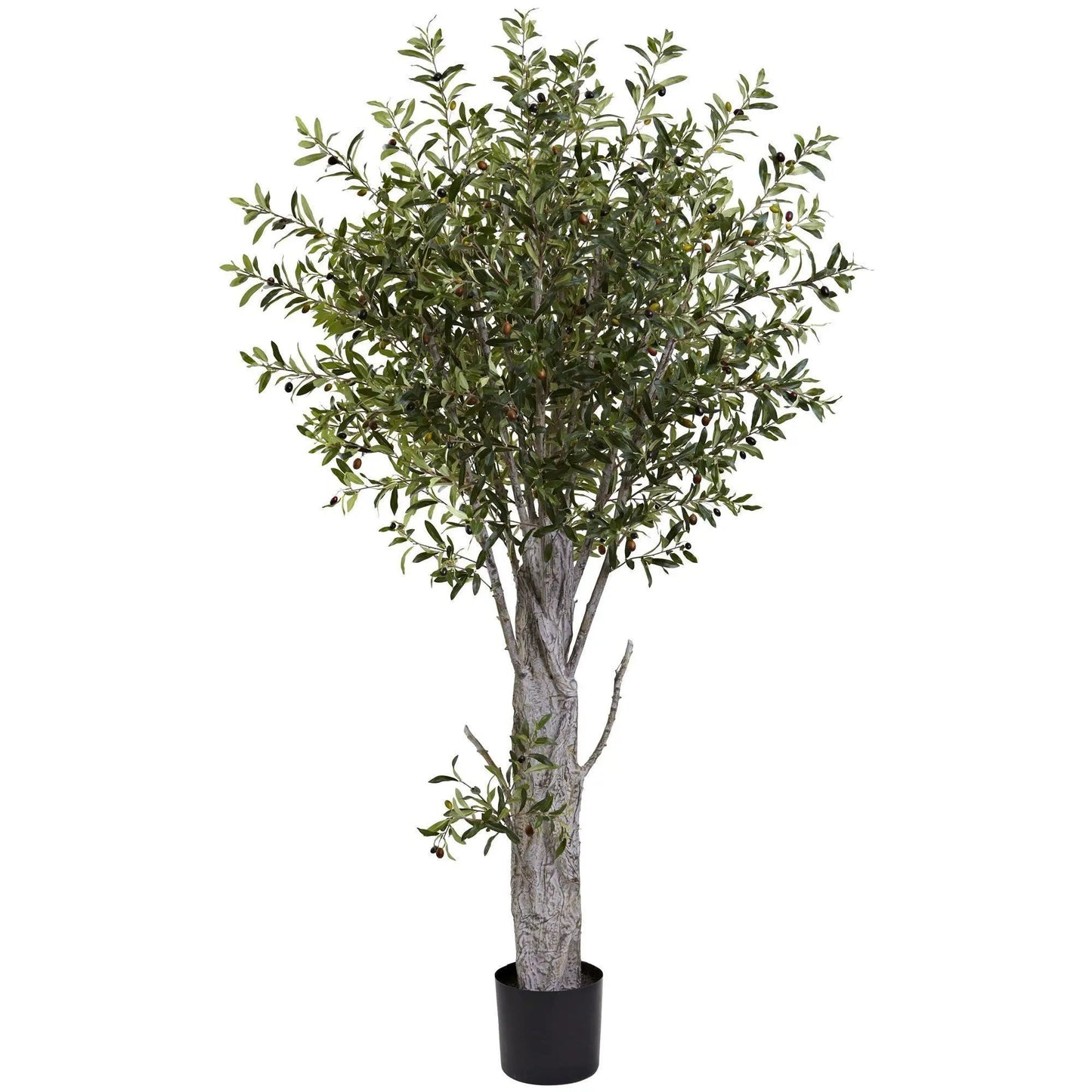 - image on Tampa Home & Garden Store